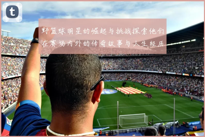 野篮球明星的崛起与挑战探索他们在赛场内外的传奇故事与人生经历