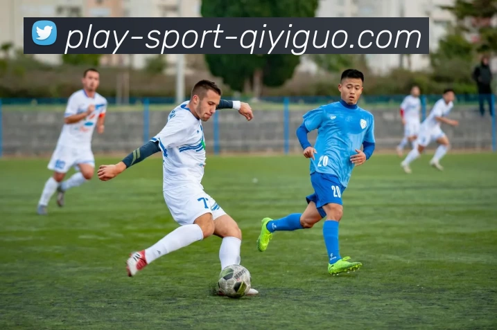 奇异果体育官网平台生态图